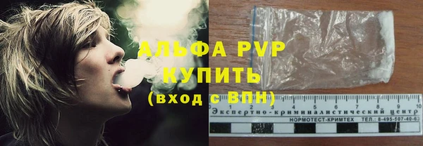 трава Осинники