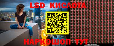 крисы Абакан