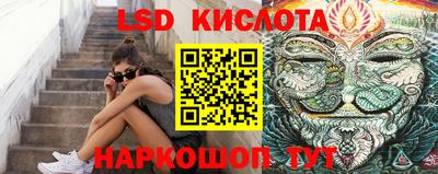 дживик Гатчина