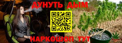 крисы Абакан