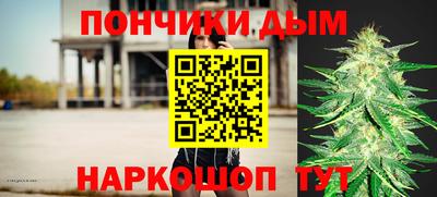 крисы Абакан