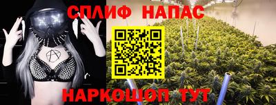 дживик Гатчина