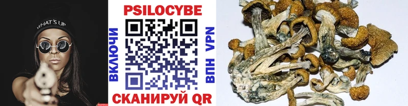Псилоцибиновые грибы Psilocybine cubensis  даркнет сайт  Азнакаево 