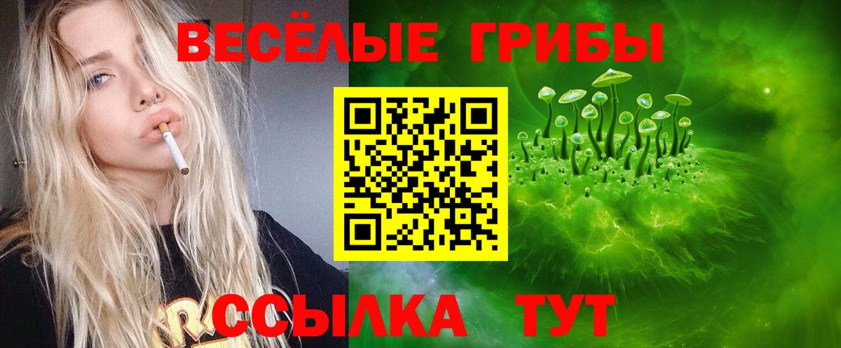Галлюциногенные грибы Psilocybe Азнакаево