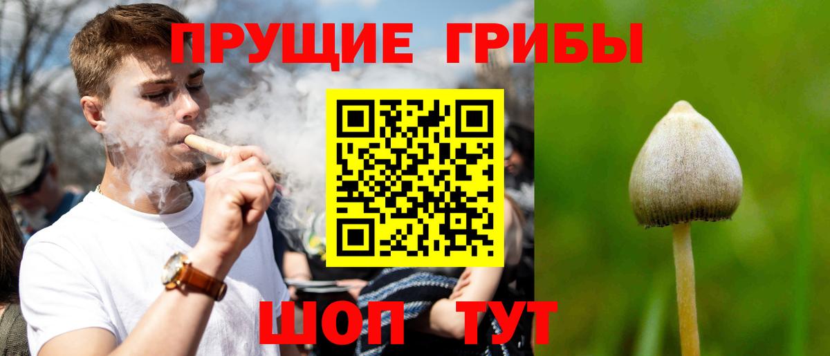 Псилоцибиновые грибы ЛСД  Вход с VPN  Азнакаево 